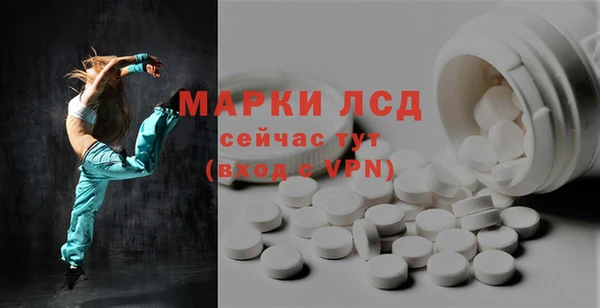 прущие грибы Балабаново