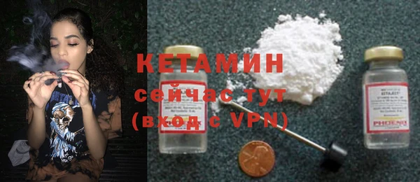 прущие грибы Балабаново